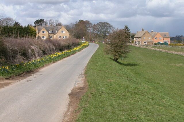 A rural road flanked by houses and daffodils.