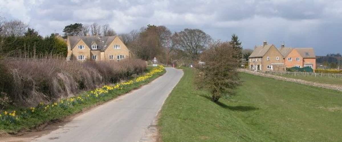 A rural road flanked by houses and daffodils.