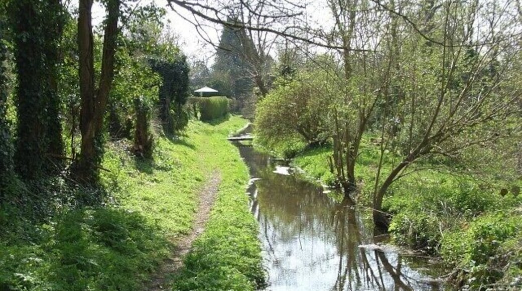 Stream, East Chisenbury With a public footpath alongside. Footbridges link cottages to their river frontages.