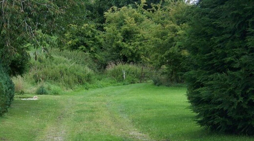 Bridleway, East Chisenbury The bridleway allows riders and walkers to reach the A342 at Rowden's Cleeve.