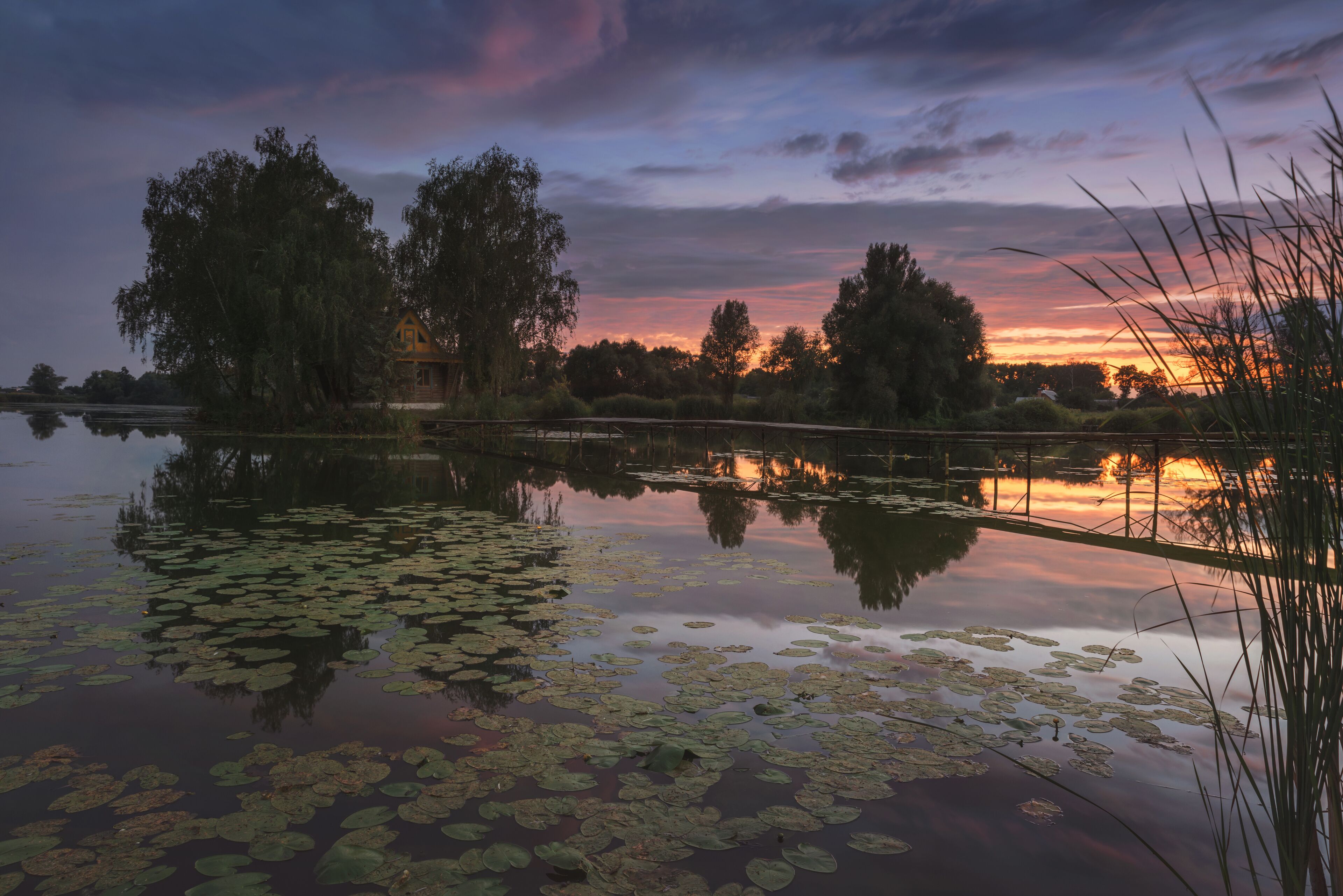 A sunset over a calm lake with lily pads and trees reflecting the sky.