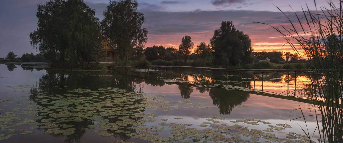 A sunset over a calm lake with lily pads and trees reflecting the sky.