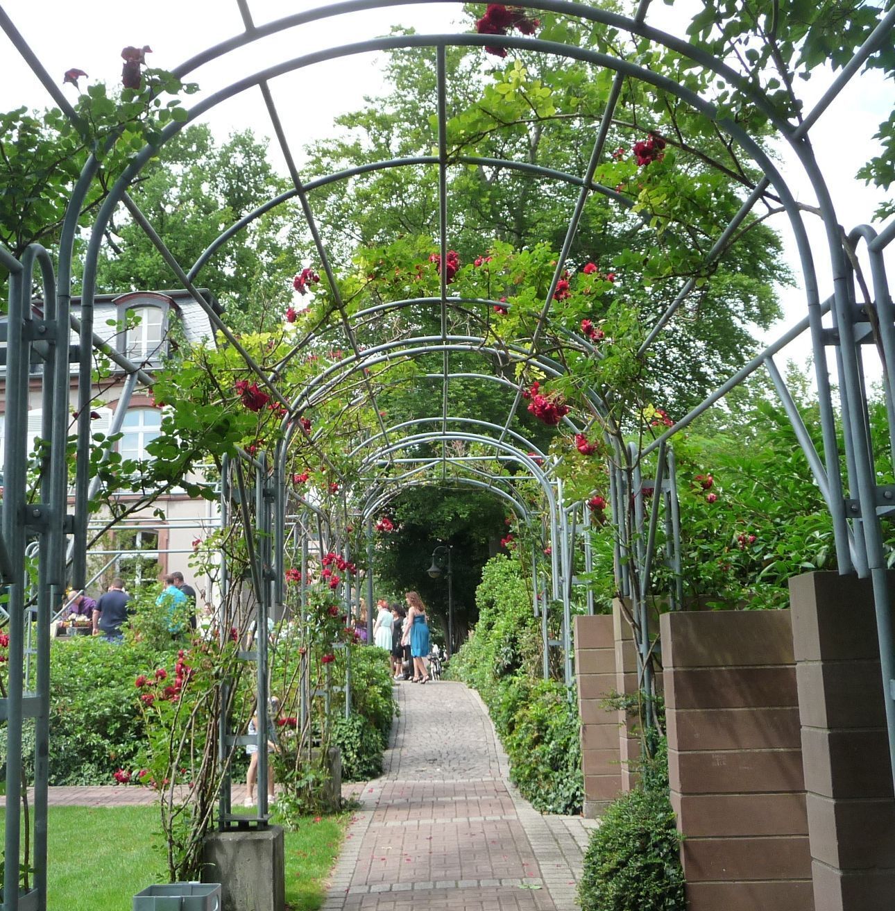 A metal archway with red flowers and greenery.