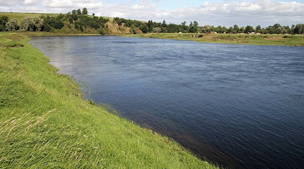 The River Tweed at Birgham Haugh Viewed from the west bank in Scotland while the cattle on the opposite side are in England.