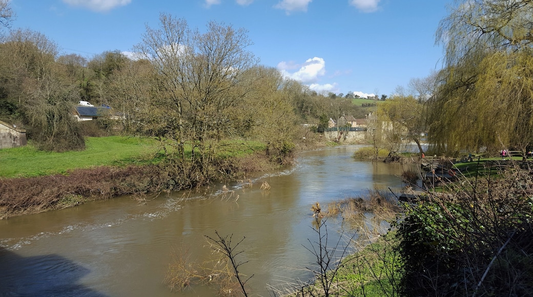 River Avon at Avoncliff.