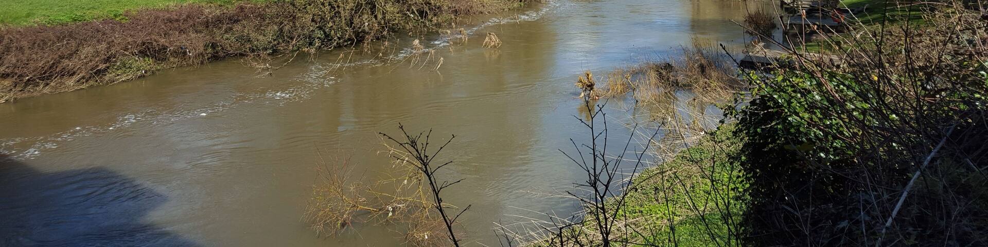 River Avon at Avoncliff.