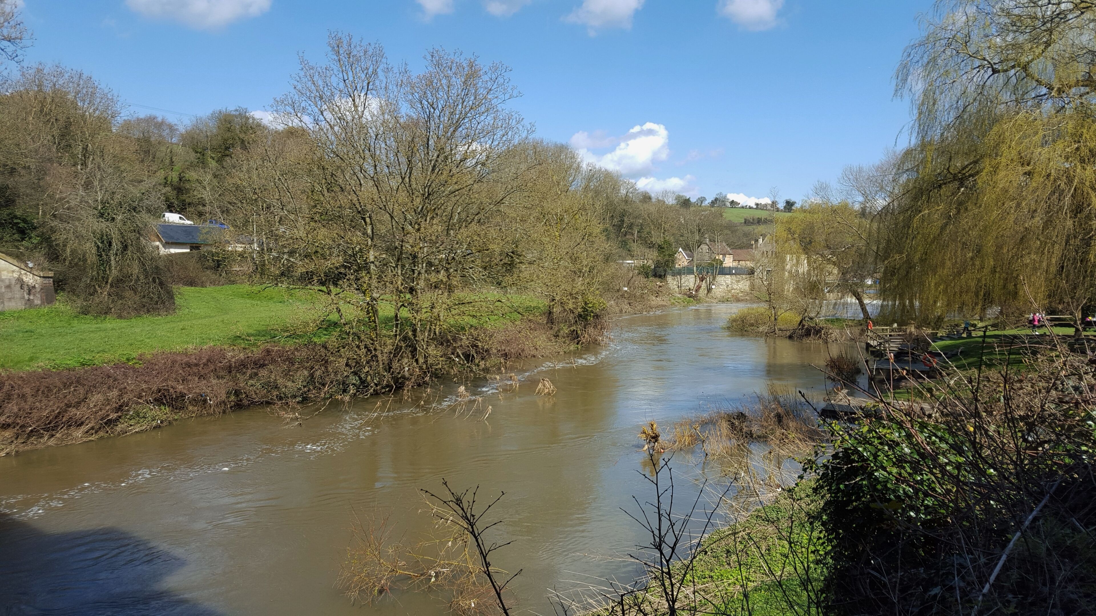 A river flowing through a rural landscape with trees, grass, and houses in the background.