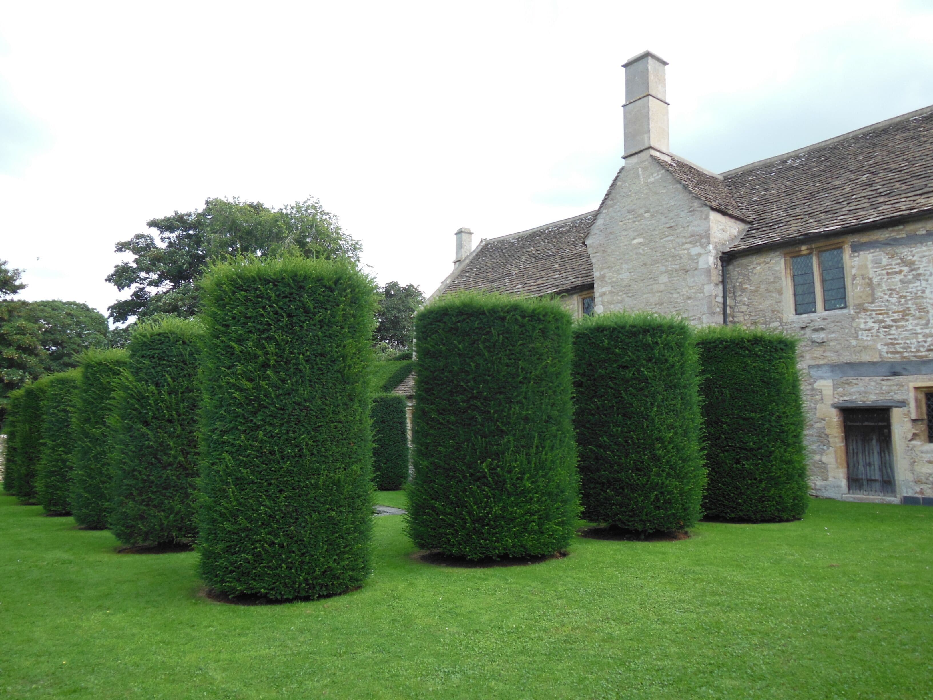 Topiary, Westwood Manor
