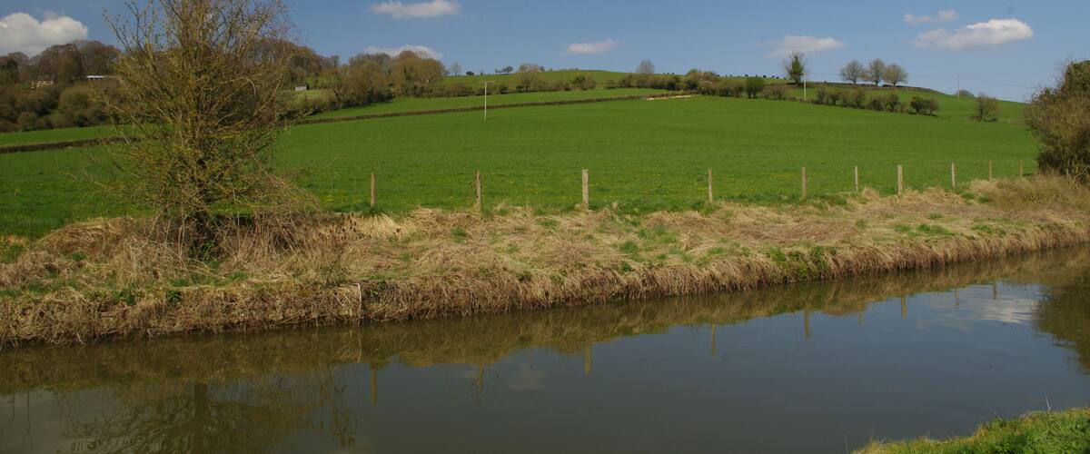 A serene landscape with a calm pond reflecting the sky, surrounded by green fields and a rolling hill.