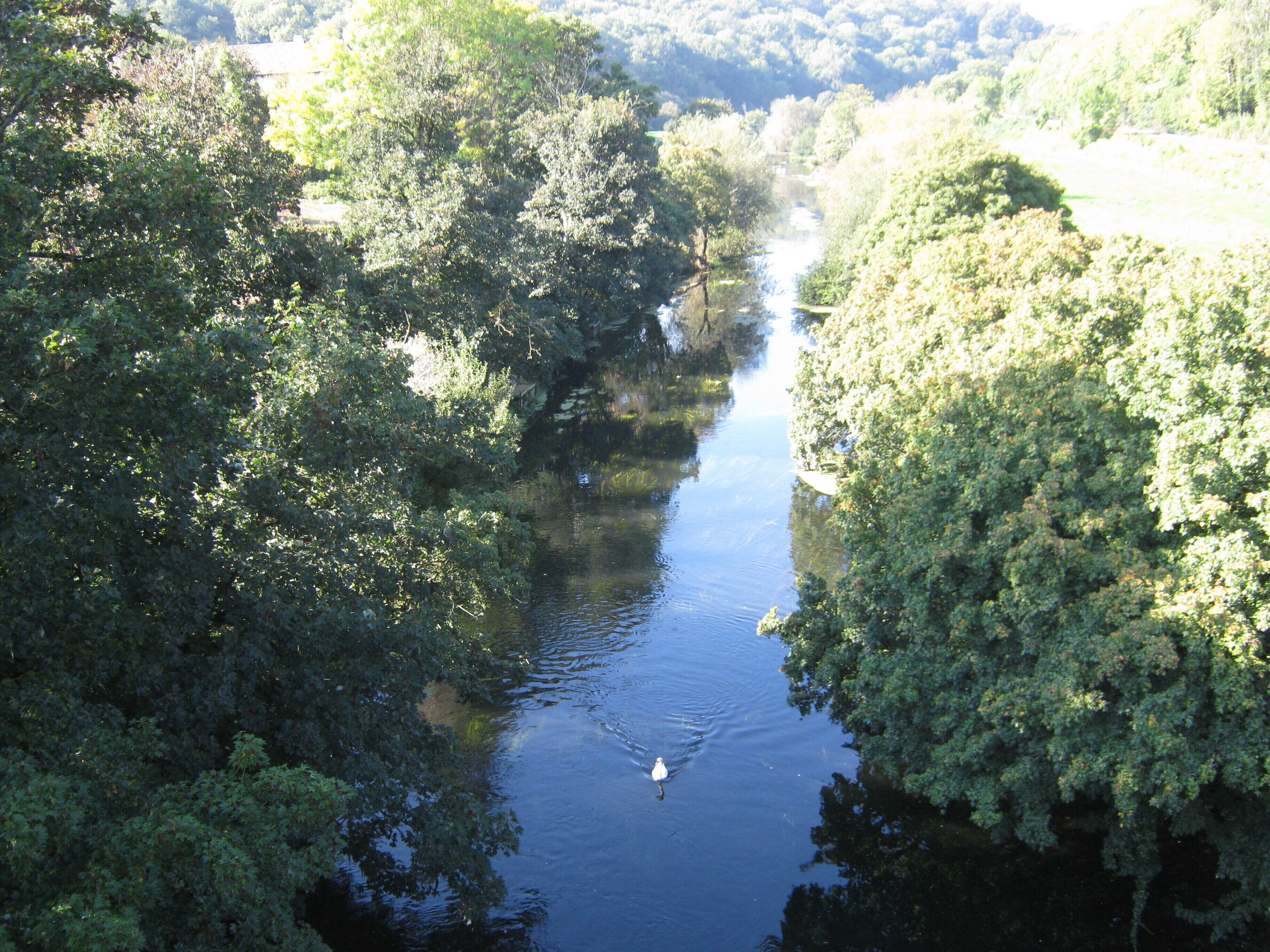River Avon near Avoncliff.