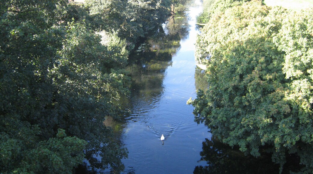 River Avon near Avoncliff.