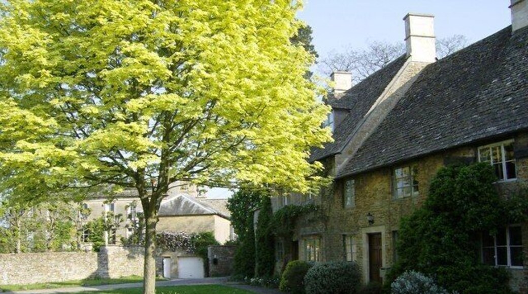 Lower Oddington green With Oddington House behind.
