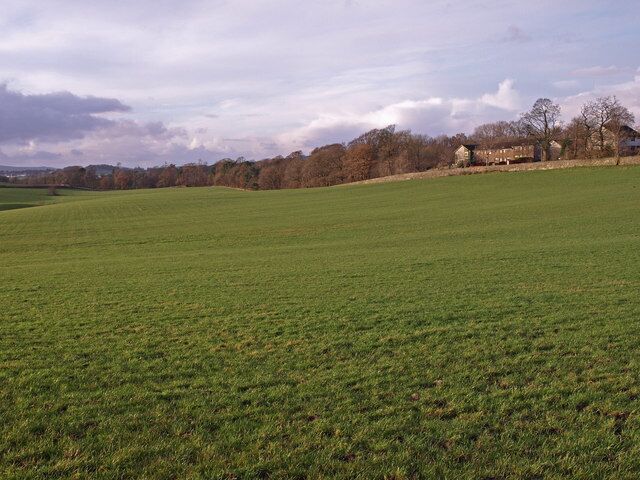 Field, Craigends, Houston Part of Craigends housing just seen over the field boundary.