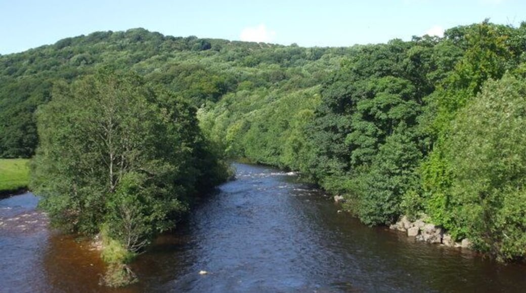 River Swale from Lowenthwaite bridge