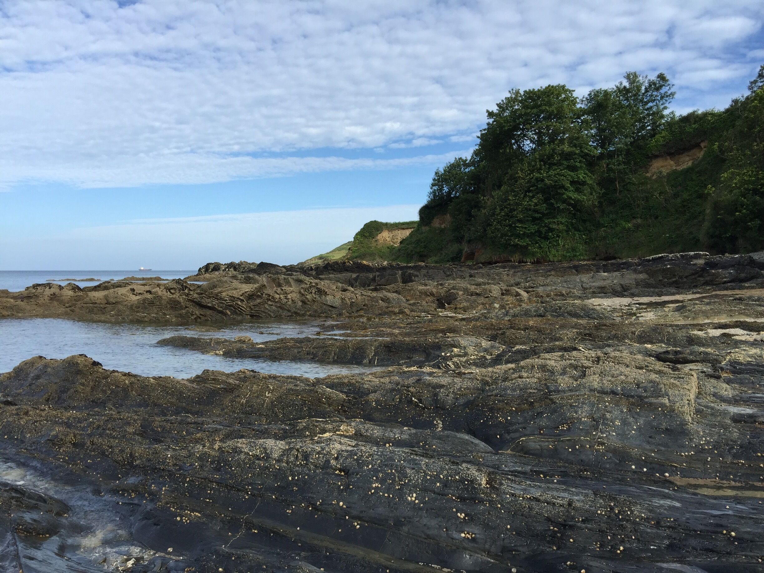 Coast near Mawnan Smith