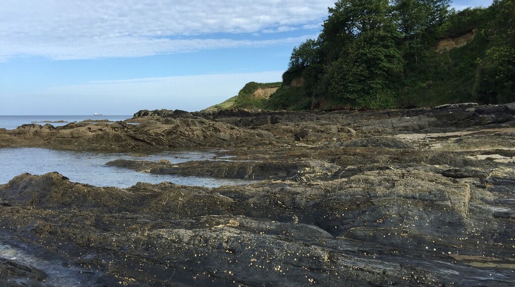 Coast near Mawnan Smith