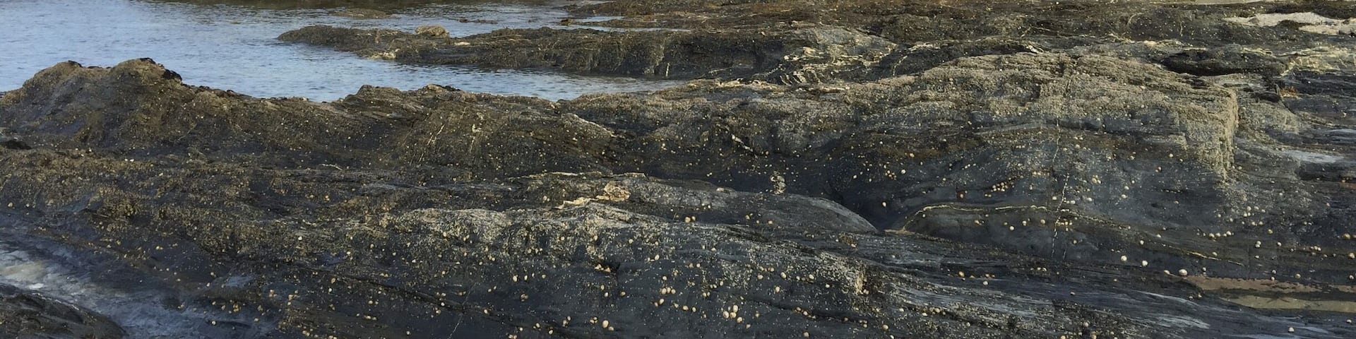 Coast near Mawnan Smith