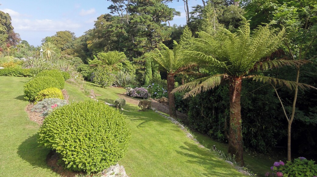 Photographs taken in Cornwall.