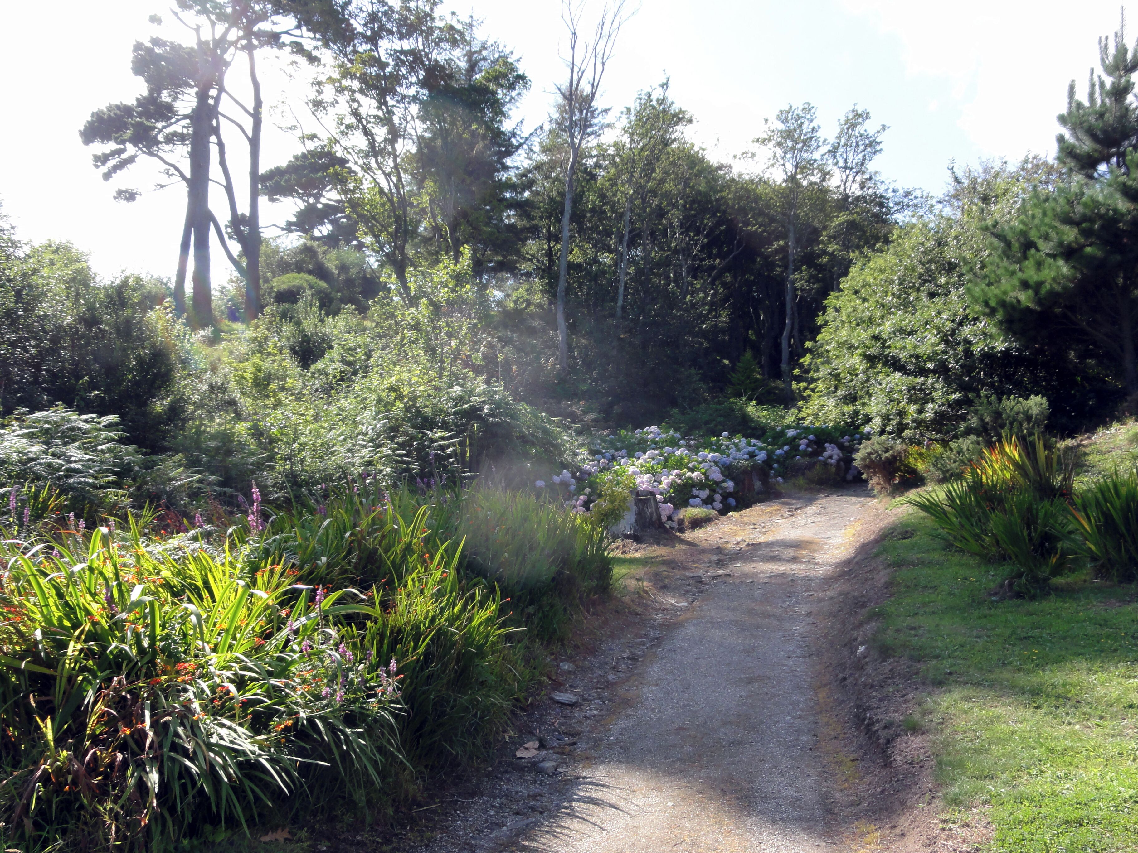 Photographs taken in Cornwall.