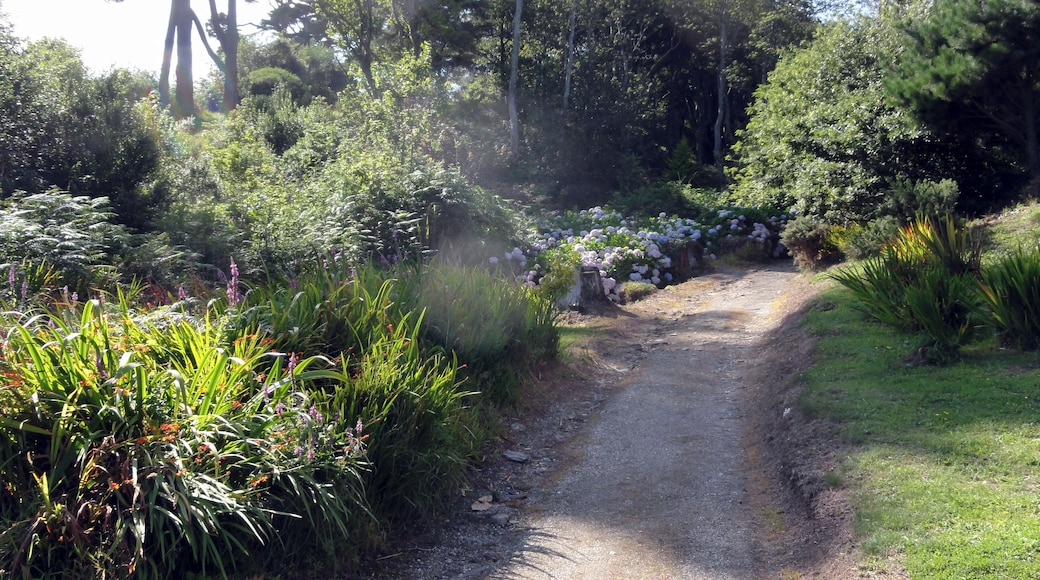 Photographs taken in Cornwall.