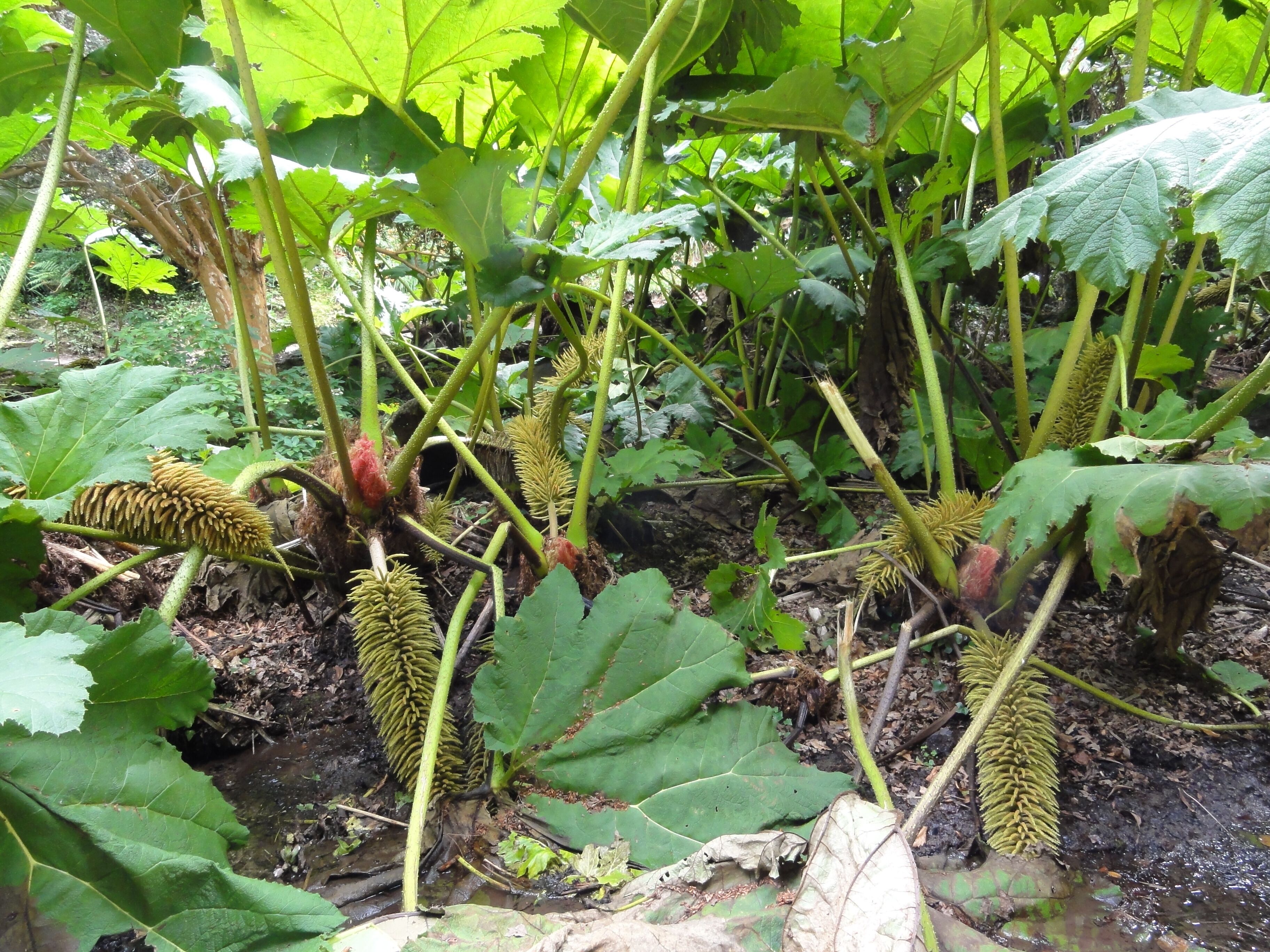 Photographs taken in Cornwall.