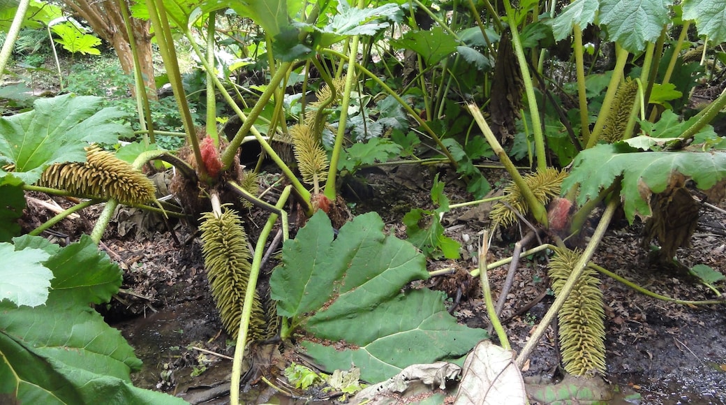 Photographs taken in Cornwall.