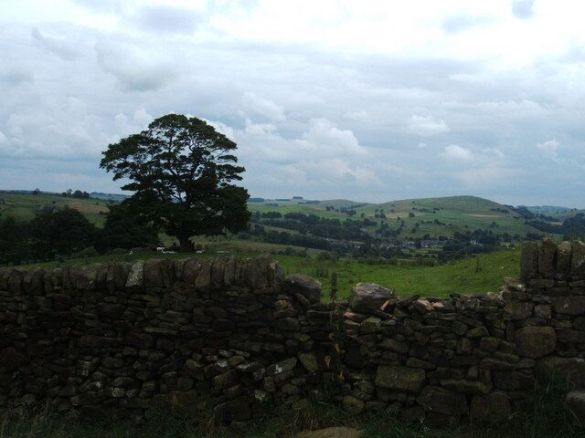 A stone wall, a large tree, and rolling hills in the background.