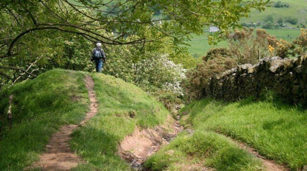 Bridleway in the Upper Dove Valley 845157: previous image - (image 4 of 10) - next image: 845167 This bridleway is part of a route from Brund in Staffordshire (behind the viewpoint) to Pilsbury in Derbyshire (ahead). It is possible that this bridleway may once have been a packhorse route. Certainly the lower section was, carrying a route from Pilsbury bridge (now a ford) to Sheen. As can be seen in the picture, this section of the bridleway suffers from significant erosion. A few of the buildings in Pilsbury can just be made out through the trees.