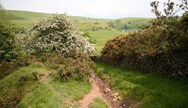 Bridleway in the Upper Dove Valley 845161: previous image - (image 5 of 10) - next image : 845173 This bridleway is part of a route from Brund in Staffordshire (behind the viewpoint) to Pilsbury in Derbyshire (ahead). It is possible that this bridleway may once have been a packhorse route. Certainly the lower section was, carrying a route from Pilsbury bridge (now a ford) to Sheen. As can be seen in the picture, this section of the bridleway suffers from significant erosion. A few of the buildings in Pilsbury can just be made out through the trees.