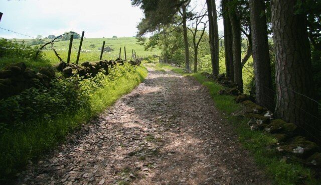 Bridleway in the Upper Dove Valley 845178: previous image - (image 8 of 10) - next image : 845193 This bridleway is part of a route from Brund in Staffordshire (ahead) to Pilsbury in Derbyshire (behind the viewpoint). It is possible that this bridleway may once have been a packhorse route. Certainly this, the lower section was, carrying a packhorse route from Pilsbury bridge (now a ford) to Sheen. The route to Sheen leaves this bridleway a short distance ahead (approximately where the track disappears from view). Just behind the viewpoint and to the right the bridleway comes close to the 845189.