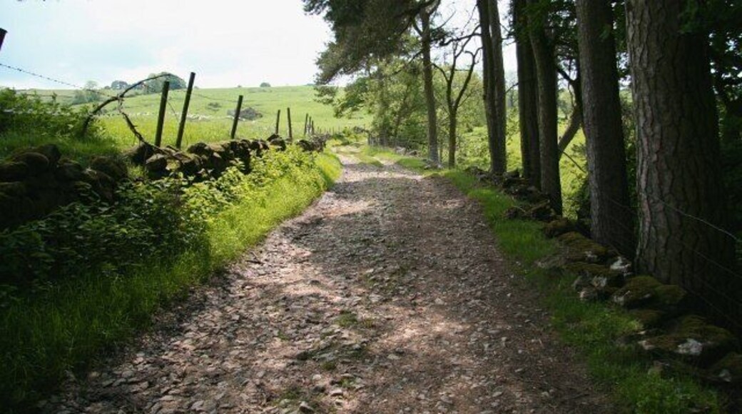 Bridleway in the Upper Dove Valley 845178: previous image - (image 8 of 10) - next image : 845193 This bridleway is part of a route from Brund in Staffordshire (ahead) to Pilsbury in Derbyshire (behind the viewpoint). It is possible that this bridleway may once have been a packhorse route. Certainly this, the lower section was, carrying a packhorse route from Pilsbury bridge (now a ford) to Sheen. The route to Sheen leaves this bridleway a short distance ahead (approximately where the track disappears from view). Just behind the viewpoint and to the right the bridleway comes close to the 845189.