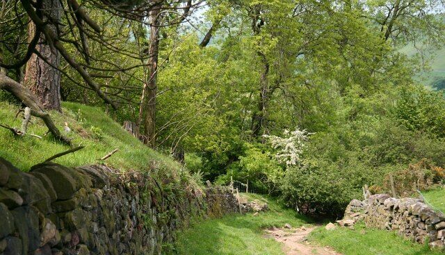 Bridleway in the Upper Dove Valley 845152: previous image - (image 3 of 10) - next image : 845161 This bridleway is part of a route from Brund in Staffordshire (behind the viewpoint) to Pilsbury in Derbyshire (ahead). It is possible that this bridleway may once have been a packhorse route. Certainly the lower section was, carrying a route from Pilsbury bridge (now a ford) to Sheen.