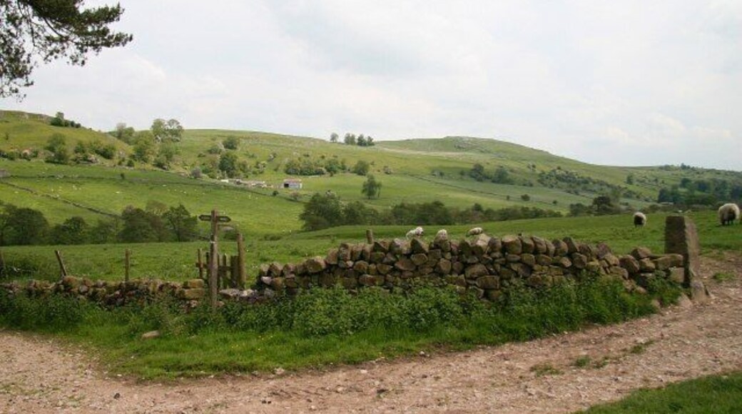 Bridleway in the Upper Dove Valley 845173: previous image - (image 7 of 10) - next image : 845184 The photograph was taken from a bridleway that is part of a route from Brund in Staffordshire (behind the viewpoint, lower right) to Pilsbury in Derbyshire (ahead, left). It is possible that this bridleway may once have been a packhorse route. Certainly the bridleway from this point to Pilsbury was a packhorse route as the footpath joining from the centre-right (note the 845181) carried a packhorse route from Sheen to Pilsbury bridge (now a ford).