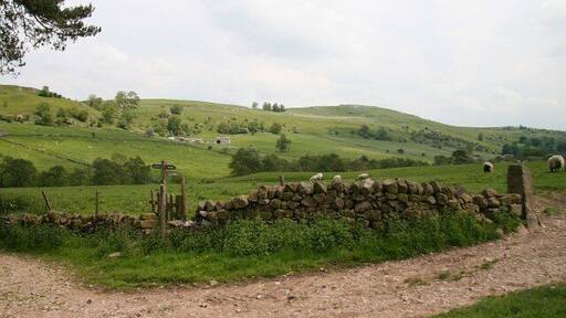 Bridleway in the Upper Dove Valley 845173: previous image - (image 7 of 10) - next image : 845184 The photograph was taken from a bridleway that is part of a route from Brund in Staffordshire (behind the viewpoint, lower right) to Pilsbury in Derbyshire (ahead, left). It is possible that this bridleway may once have been a packhorse route. Certainly the bridleway from this point to Pilsbury was a packhorse route as the footpath joining from the centre-right (note the 845181) carried a packhorse route from Sheen to Pilsbury bridge (now a ford).