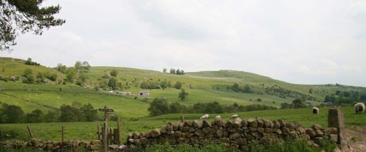 A stone wall, a dirt path, and rolling green hills with scattered sheep.