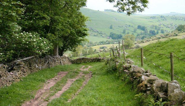 Bridleway in the Upper Dove Valley 845146: previous image - (image 2 of 10) - next image: 845157 This bridleway is part of a route from Brund in Staffordshire (behind the viewpoint) to Pilsbury in Derbyshire (ahead). It is possible that this bridleway may once have been a packhorse route. Certainly the lower section was, carrying a route from Pilsbury bridge (now a ford) to Sheen. The hill on the other side of the Upper Dove Valley (partly obscured by the trees) is Carder Low. The village of Hartington lies about 2½ kilometres to the south (along the valley to the right).