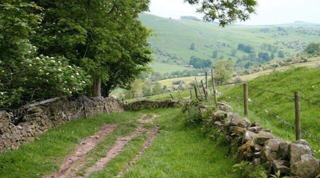 Bridleway in the Upper Dove Valley 845146: previous image - (image 2 of 10) - next image: 845157 This bridleway is part of a route from Brund in Staffordshire (behind the viewpoint) to Pilsbury in Derbyshire (ahead). It is possible that this bridleway may once have been a packhorse route. Certainly the lower section was, carrying a route from Pilsbury bridge (now a ford) to Sheen. The hill on the other side of the Upper Dove Valley (partly obscured by the trees) is Carder Low. The village of Hartington lies about 2½ kilometres to the south (along the valley to the right).