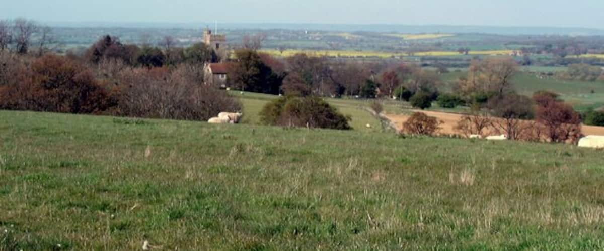 A rural landscape with rolling hills, scattered trees, and a distant tower.