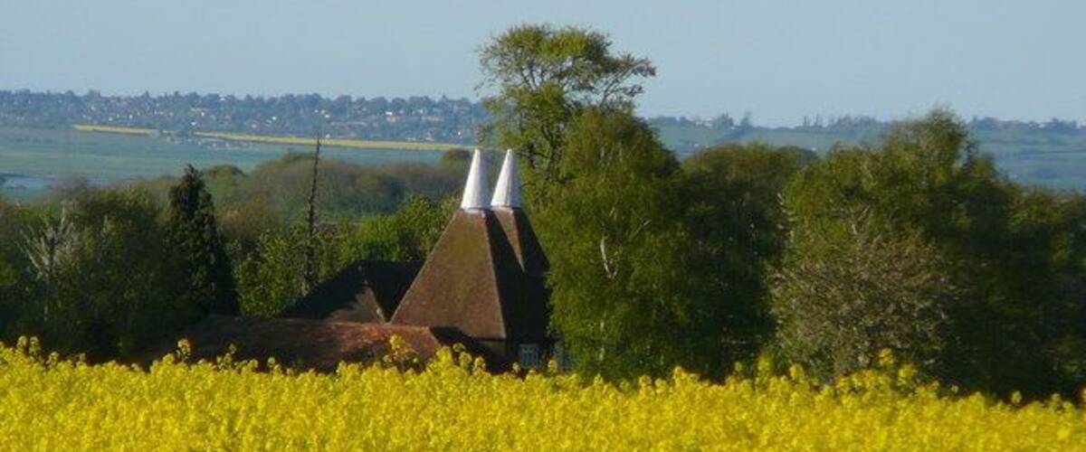 Church Oast seen from Down Court Road