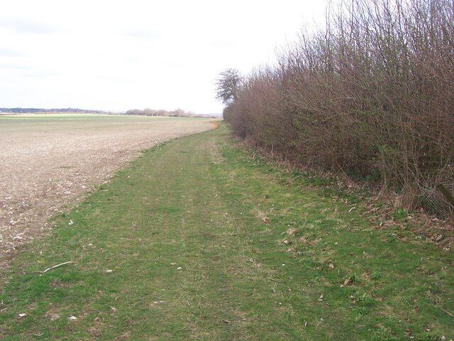 Footpath beside Endings Wood Leads to Little High Farm and then on to The Street, Doddington.