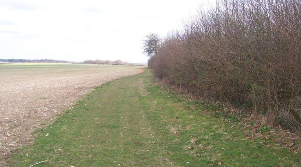 Footpath beside Endings Wood Leads to Little High Farm and then on to The Street, Doddington.
