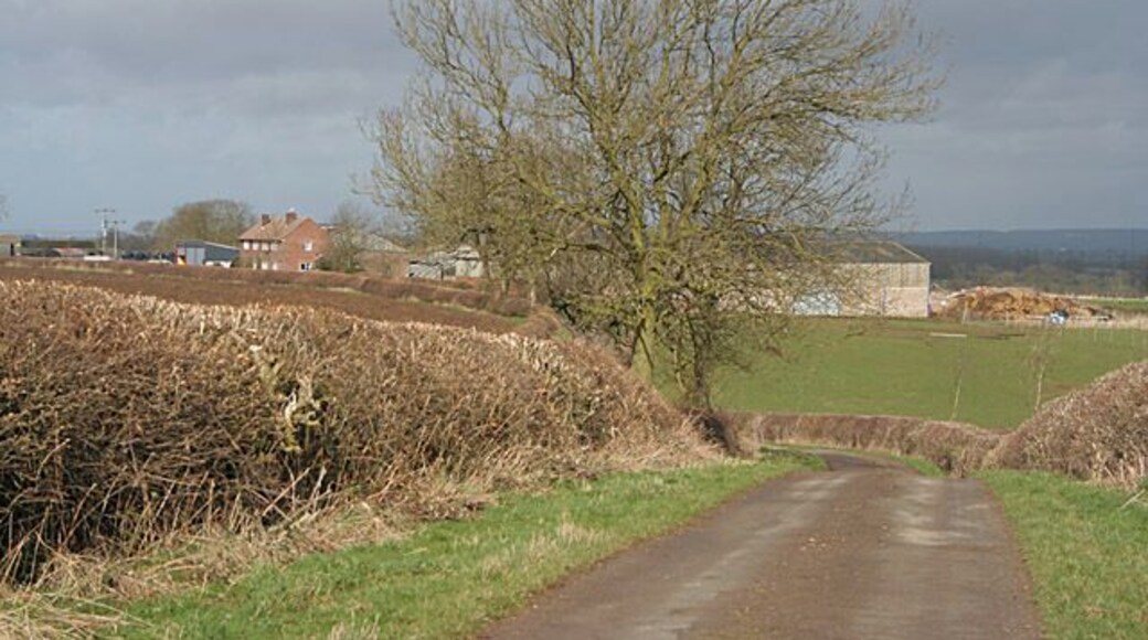 Salter's Hill Farm. From Klondyke Lane, looking west