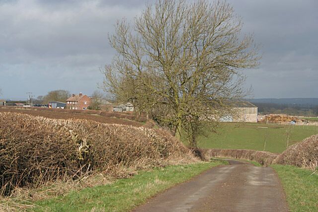 A rural road with a leafless tree, a stone wall, and houses in the background.