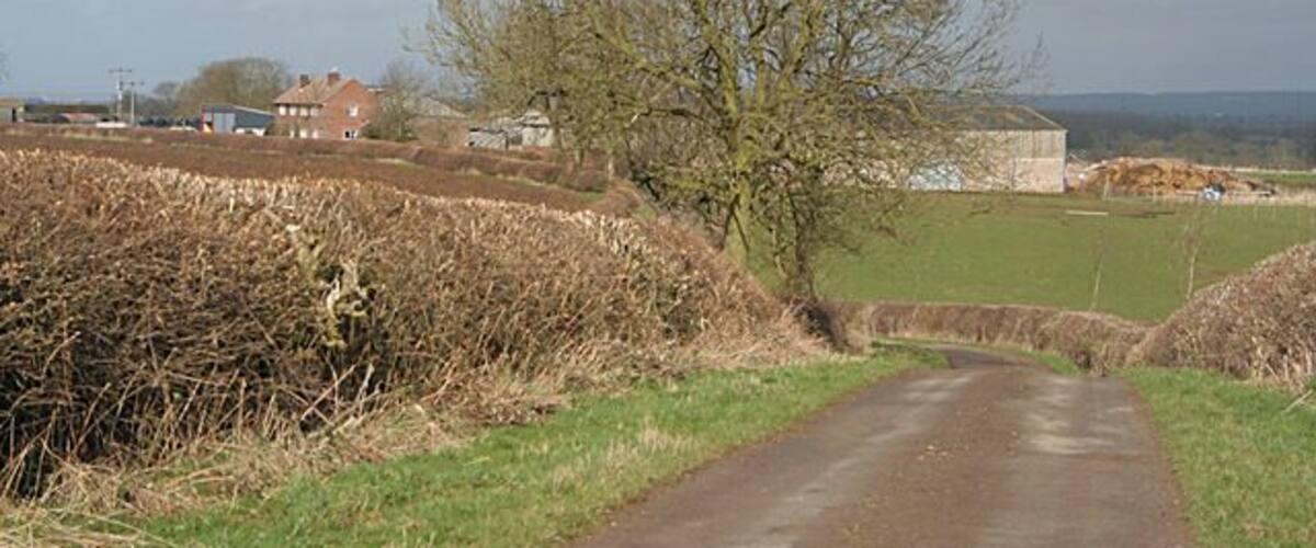 A rural road with a leafless tree, a stone wall, and houses in the background.