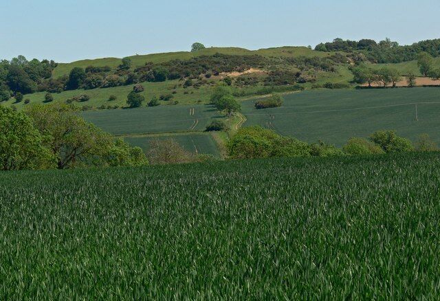 View towards Burrough Hill Looking east from Salter's Hill.