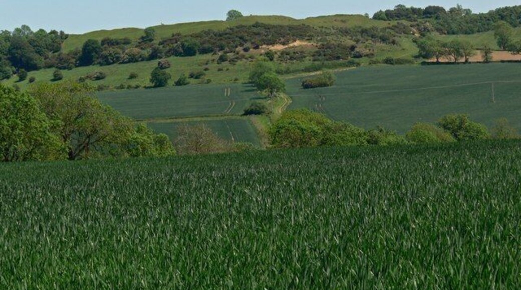 View towards Burrough Hill Looking east from Salter's Hill.