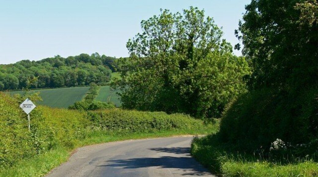 Passing place on Melton Lane At this point descending Salter's Hill near Moscow Farm.
