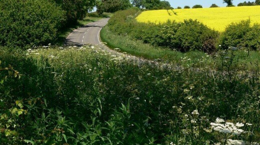 Thorpe Satchville Road towards Great Dalby