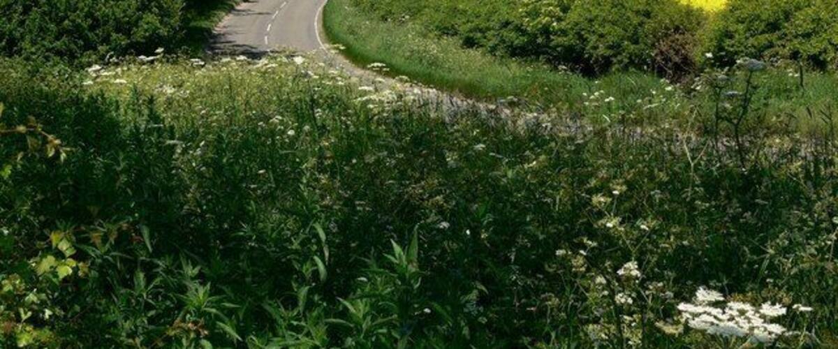 Thorpe Satchville Road towards Great Dalby