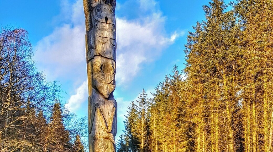 Totem pole in Blairadam forest.